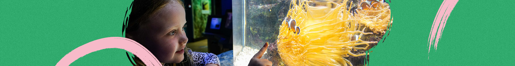 Sea life centre in London