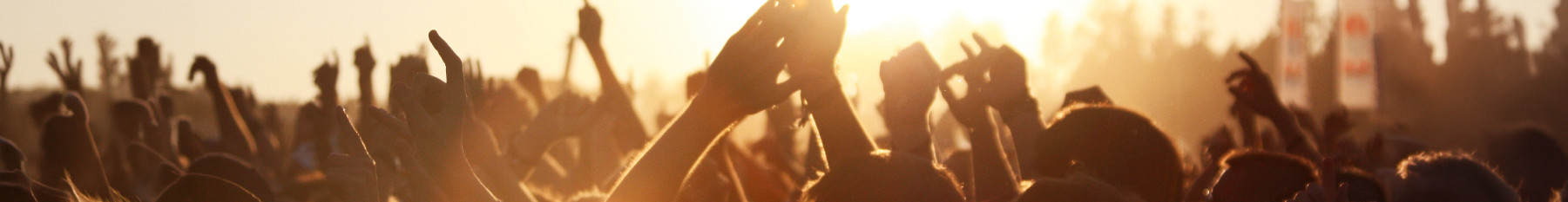 crowd with hands in the air