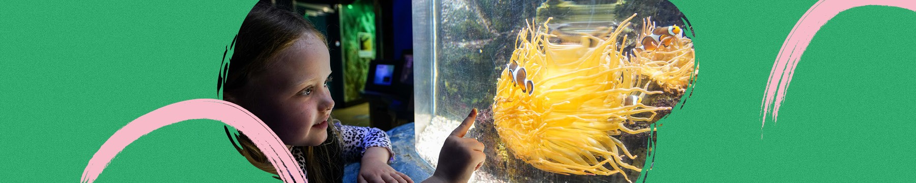 Sea life centre in London