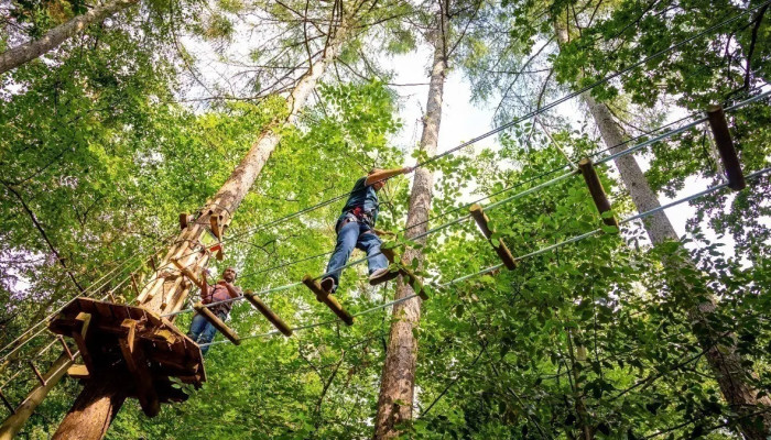 Go Ape