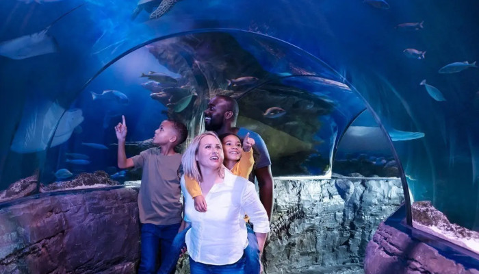 The National SEA LIFE Centre Birmingham