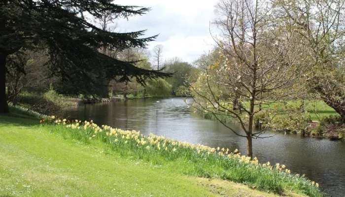 Syon Gardens and Great Conservatory