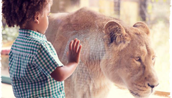 London Zoo