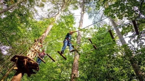 Go Ape