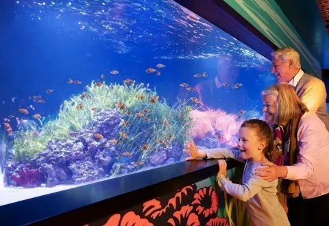SEA LIFE London Aquarium