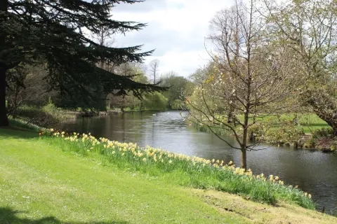 Syon Gardens and Great Conservatory