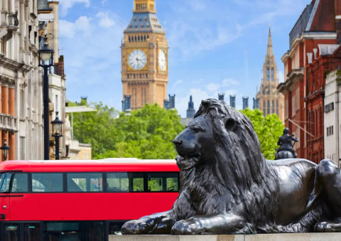 London Sightseeing Walking Tour with 30 Sights