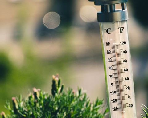 Hot weather advice – Do not start new journeys!