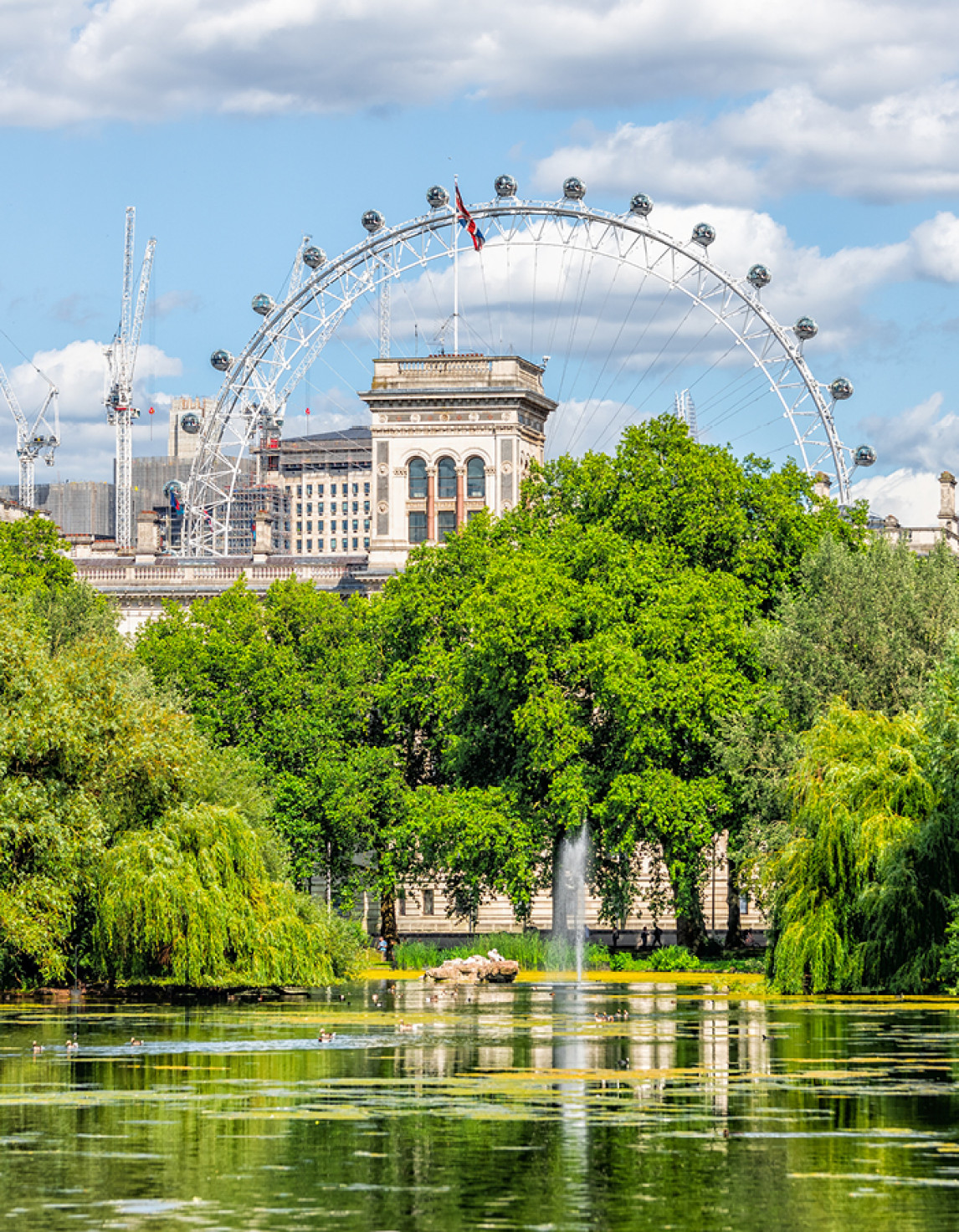 The london eye viewed from across St James' Park