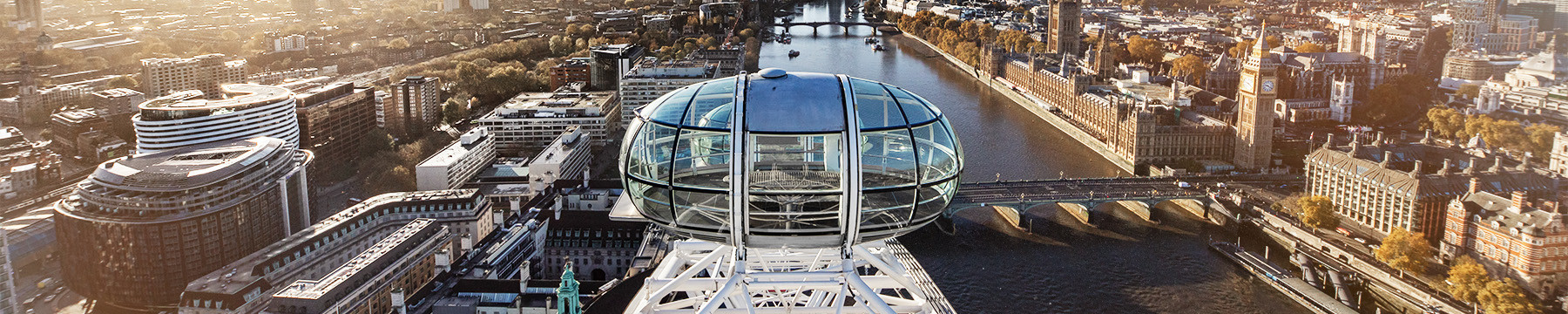 View from the London Eye
